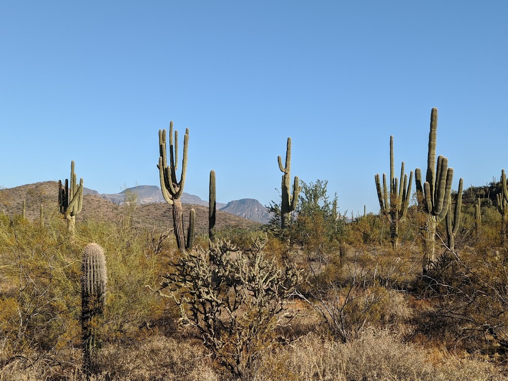 P. A. Seitts Preserve | Slate Trail, Cave Creek, AZ 85331, USA | Phone: (480) 488-6131