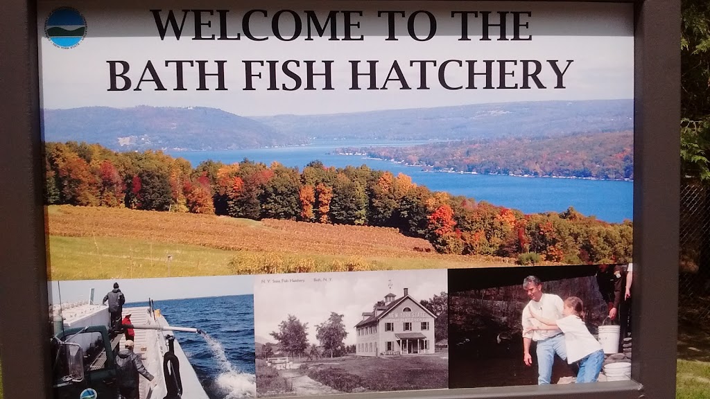 New York State Fish Hatchery | 7169 Fish Hatchery Rd, Bath, NY 14810, USA | Phone: (607) 776-7087