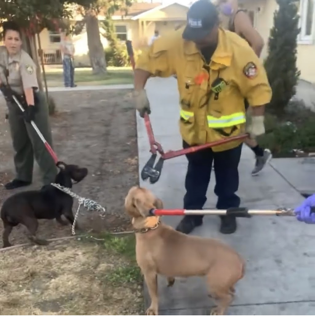 Compton Fire Dept. Station 3 | 1133 Rosecrans Ave, Compton, CA 90222, USA | Phone: (310) 605-5657