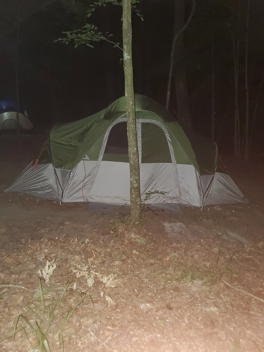 Merchants Millpond State Park - Walk-in Group Campsites | Gatesville, NC 27938, USA | Phone: (252) 301-8851