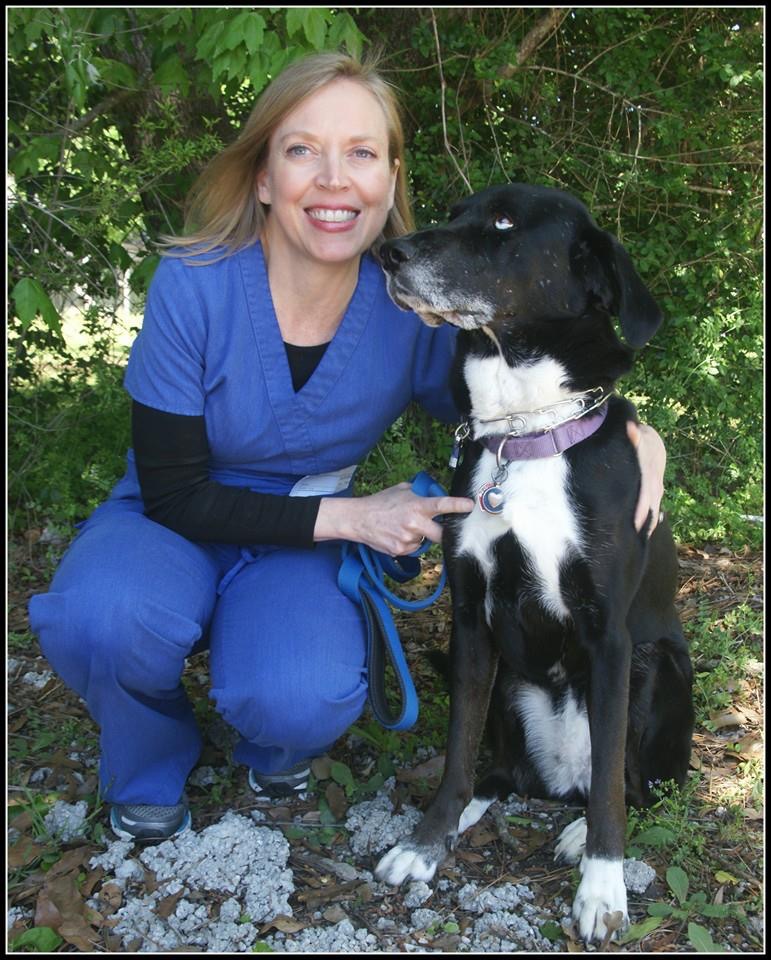 Azalea Lakes Veterinary Clinic | 15225 Jefferson Hwy, Baton Rouge, LA 70817, USA | Phone: (225) 755-3838