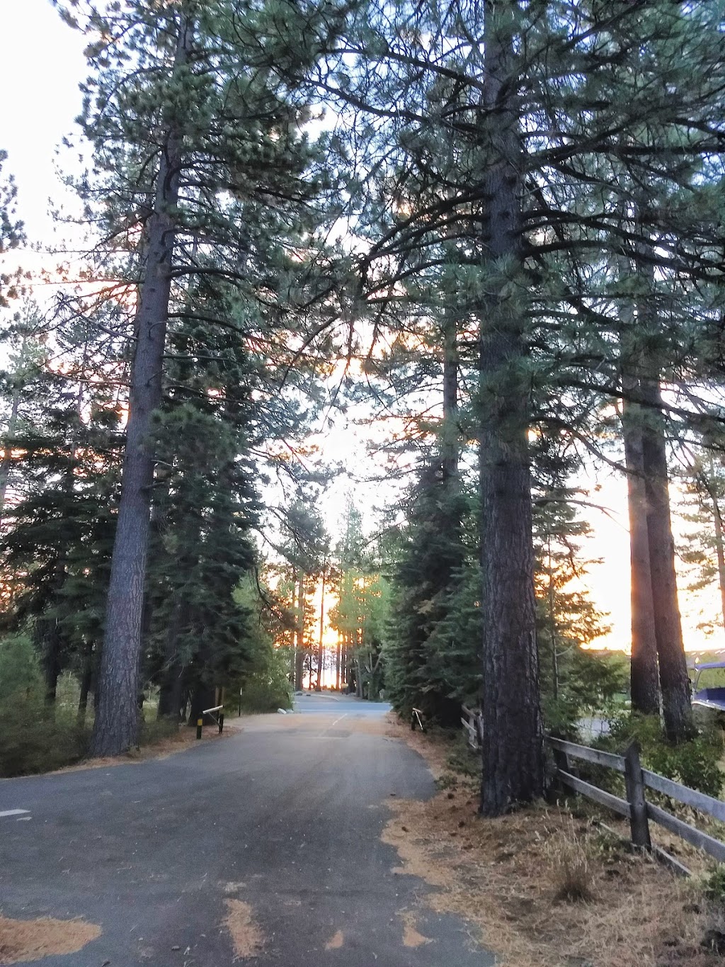 William Kent Campground | 1995 W Lake Blvd, Tahoe City, CA 96145, USA | Phone: (530) 583-3642