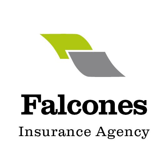 Falcones Insurance Agency | 11 Sparrow Ln, Peekskill, NY 10566, USA | Phone: (914) 737-7093