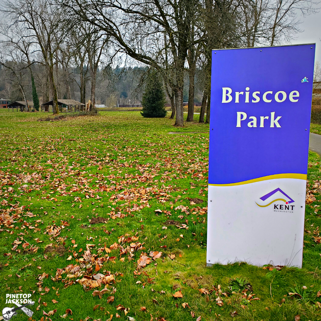 Briscoe Park | 6000 S 190th St, Kent, WA 98032, USA | Phone: (253) 856-5000