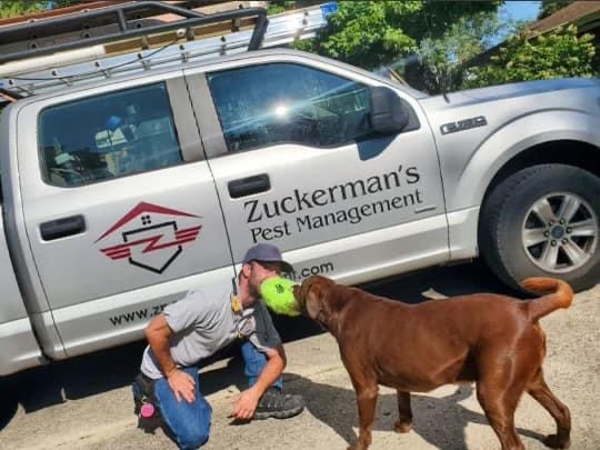 Zuckermans Pest Management | 14450 E Broad St, Reynoldsburg, OH 43068, USA | Phone: (614) 434-6645