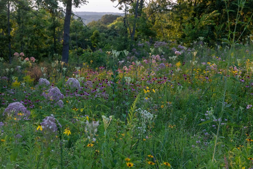 Cross Plains State Park | Cross Plains, WI 53528, USA | Phone: (608) 831-3005