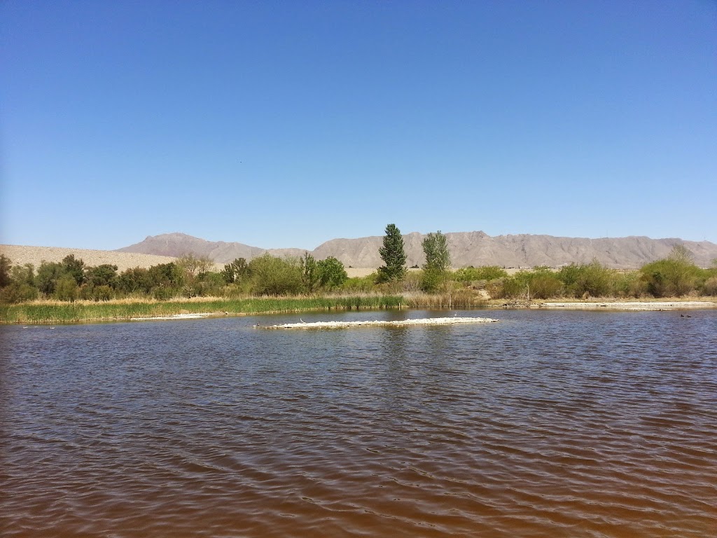 Keystone Heritage Park and the El Paso Desert Botanical Garden | 4200 Doniphan Dr, El Paso, TX 79912, USA | Phone: (915) 584-0563