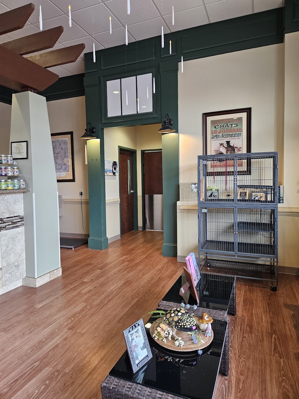 Lanier Animal Hospital | 5700 Cumming Hwy NE Building B, Sugar Hill, GA 30518, USA | Phone: (770) 831-5965