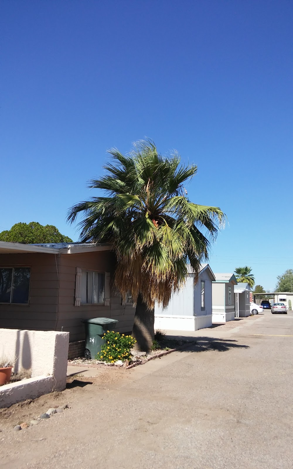 Casa Grande East Manufactured Home and RV Park | 1010 E 1st St, Casa Grande, AZ 85122, USA | Phone: (602) 536-5656