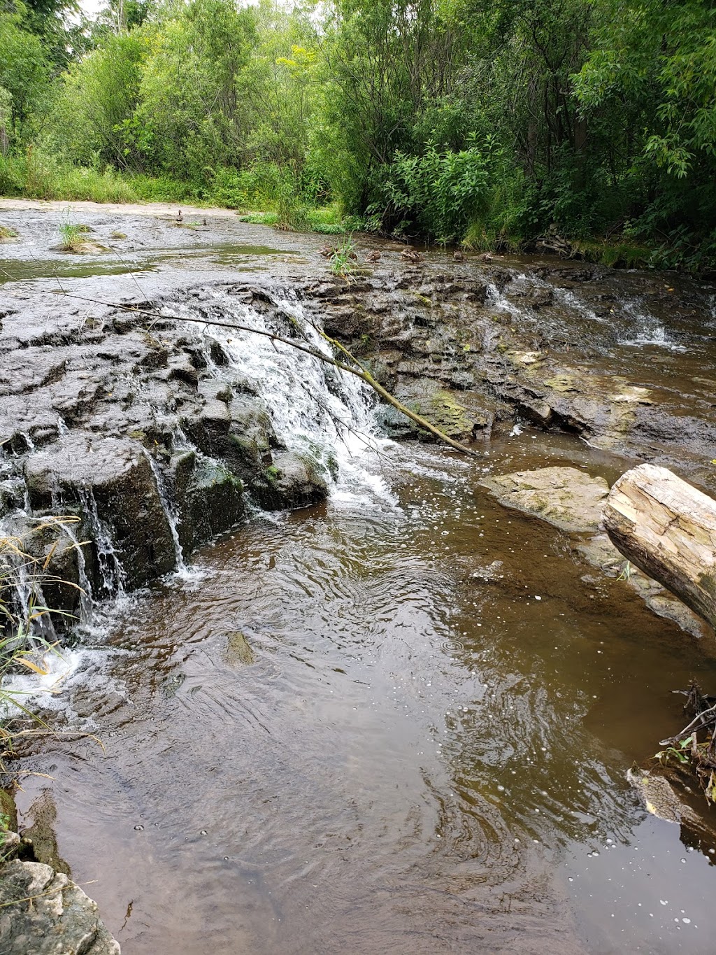 Sauk Creek Nature Preserve | 3236 Co Rd KK, Port Washington, WI 53070, USA | Phone: (262) 338-1794