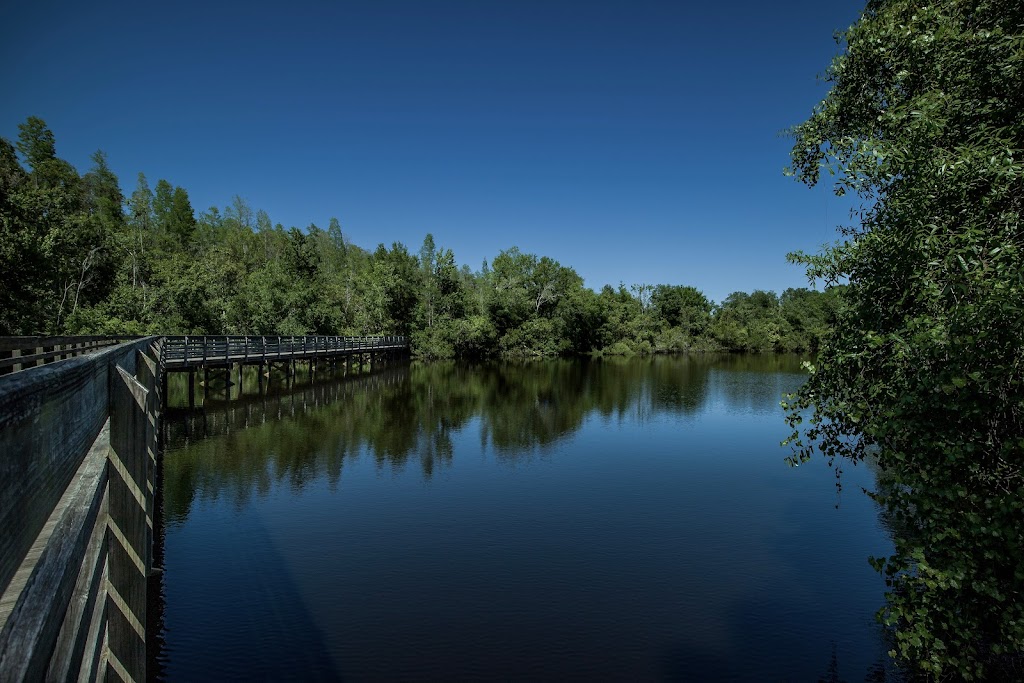 Northdale Lake Park Trail Head | 4417 Northdale Lake Park Trail, Tampa, FL 33624, USA | Phone: (813) 264-3806