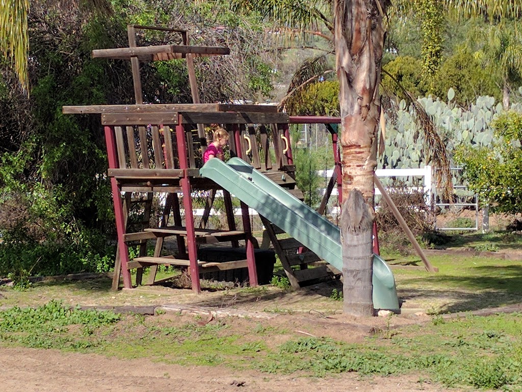 Cheyenne Arabians Pony Rides & Petting Zoo | 1927 Orange Ave, Ramona, CA 92065 | Phone: (760) 788-3780