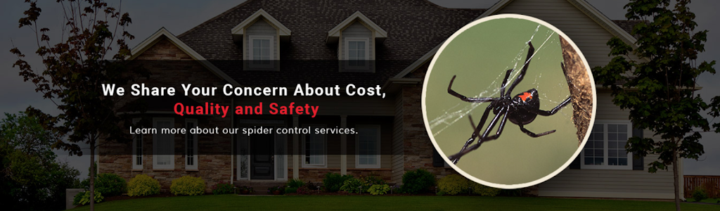 Pest Management Services | 6613 Quincy Ave, Lubbock, TX 79424, USA | Phone: (806) 794-4567