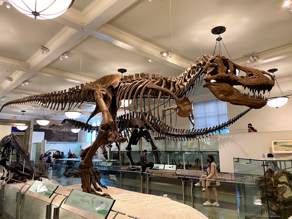 American Museum of Natural History | 200 Central Park West, New York, NY 10024, USA | Phone: (212) 769-5100