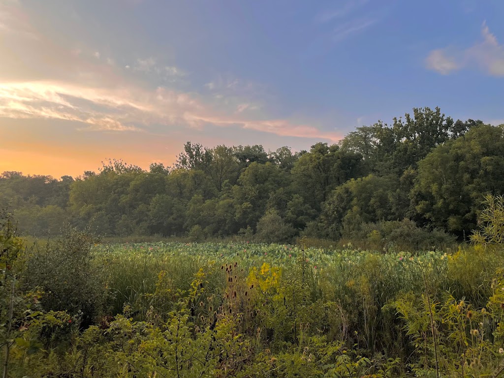 Wetlands Park East | 6950 Lesourdsville West Chester Rd, Liberty Township, OH 45011, USA | Phone: (513) 759-7500