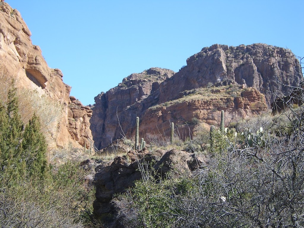 Redfield Canyon Wilderness | Willcox, AZ 85643 | Phone: (928) 348-4400