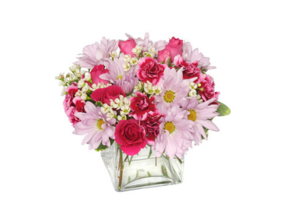 Carolyns Florist | 3162 Main St, Weirton, WV 26062, USA | Phone: (304) 797-7510