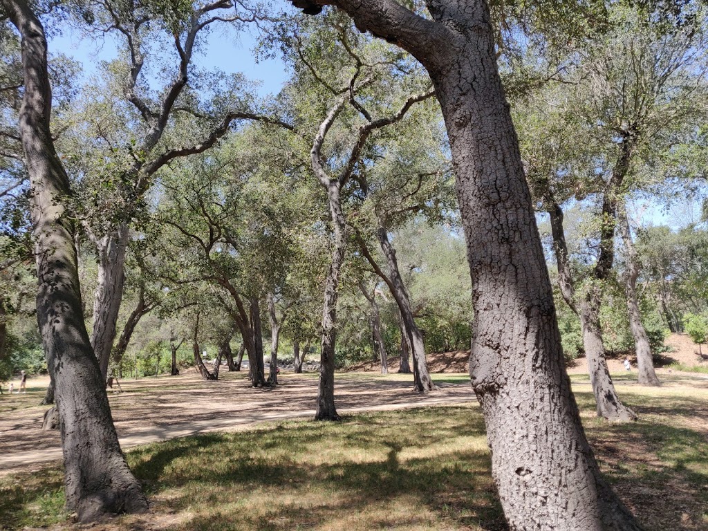 Descanso Gardens Visitor Center | 5813008902, 1418 Descanso Dr, La Cañada Flintridge, CA 91011 | Phone: (818) 949-4200