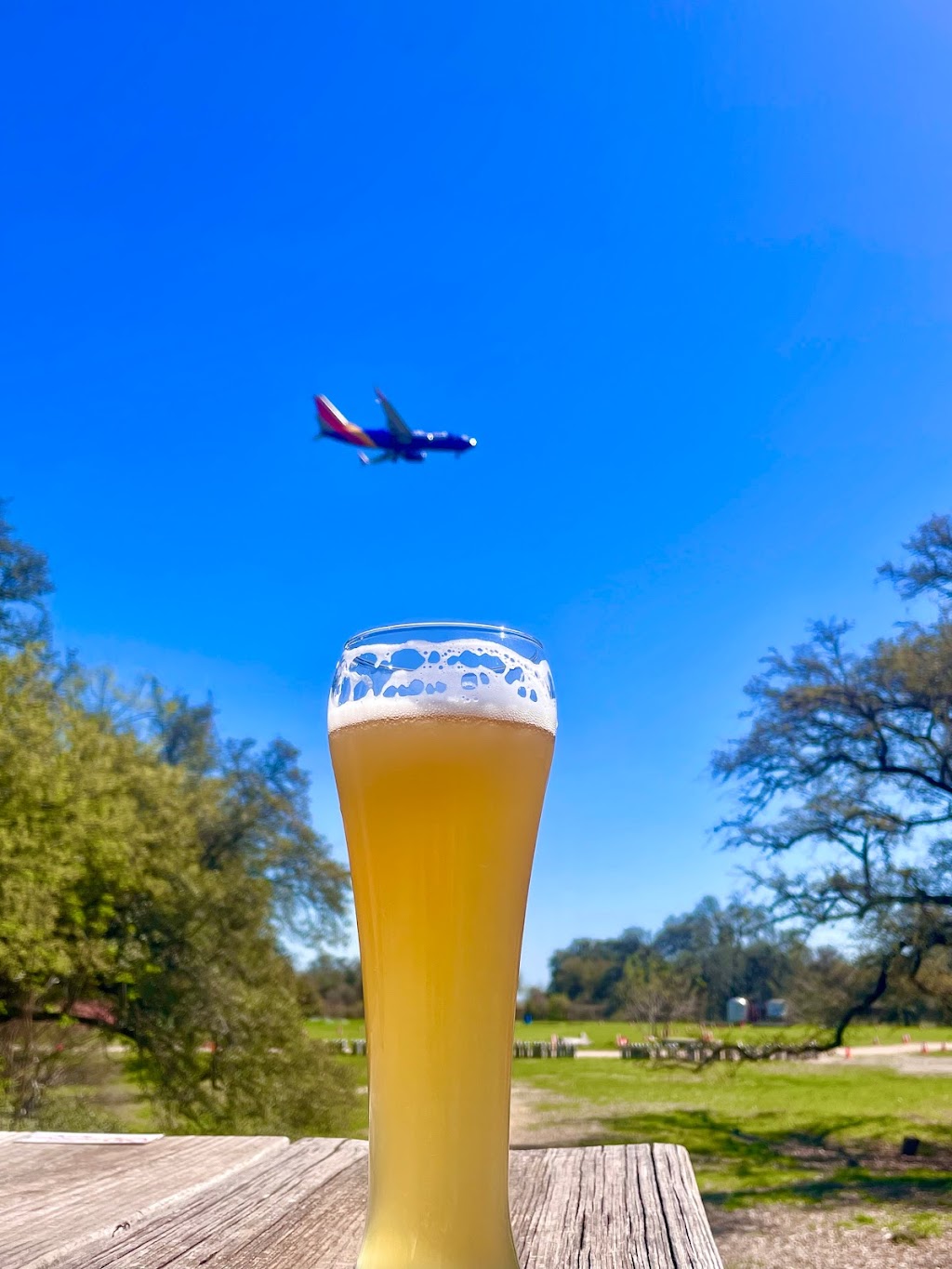 Live Oak Brewing Company | 1615 Crozier Ln, Del Valle, TX 78617, USA | Phone: (512) 385-2299