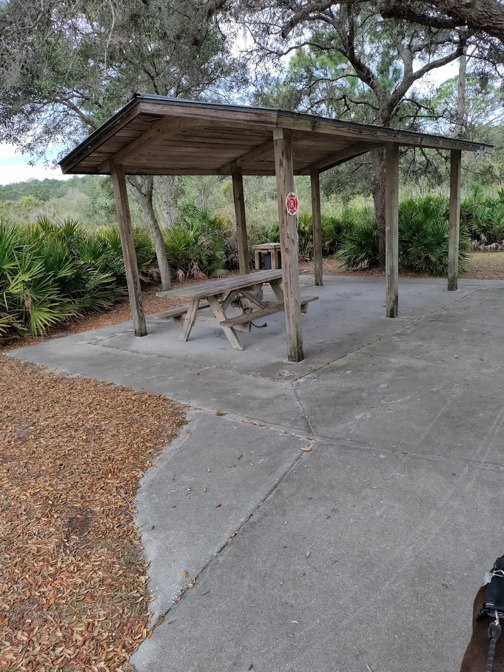 Werner-Boyce State Park Scenic Dr Trail Head | 10333 Scenic Dr, Port Richey, FL 34668, USA | Phone: (727) 816-1890