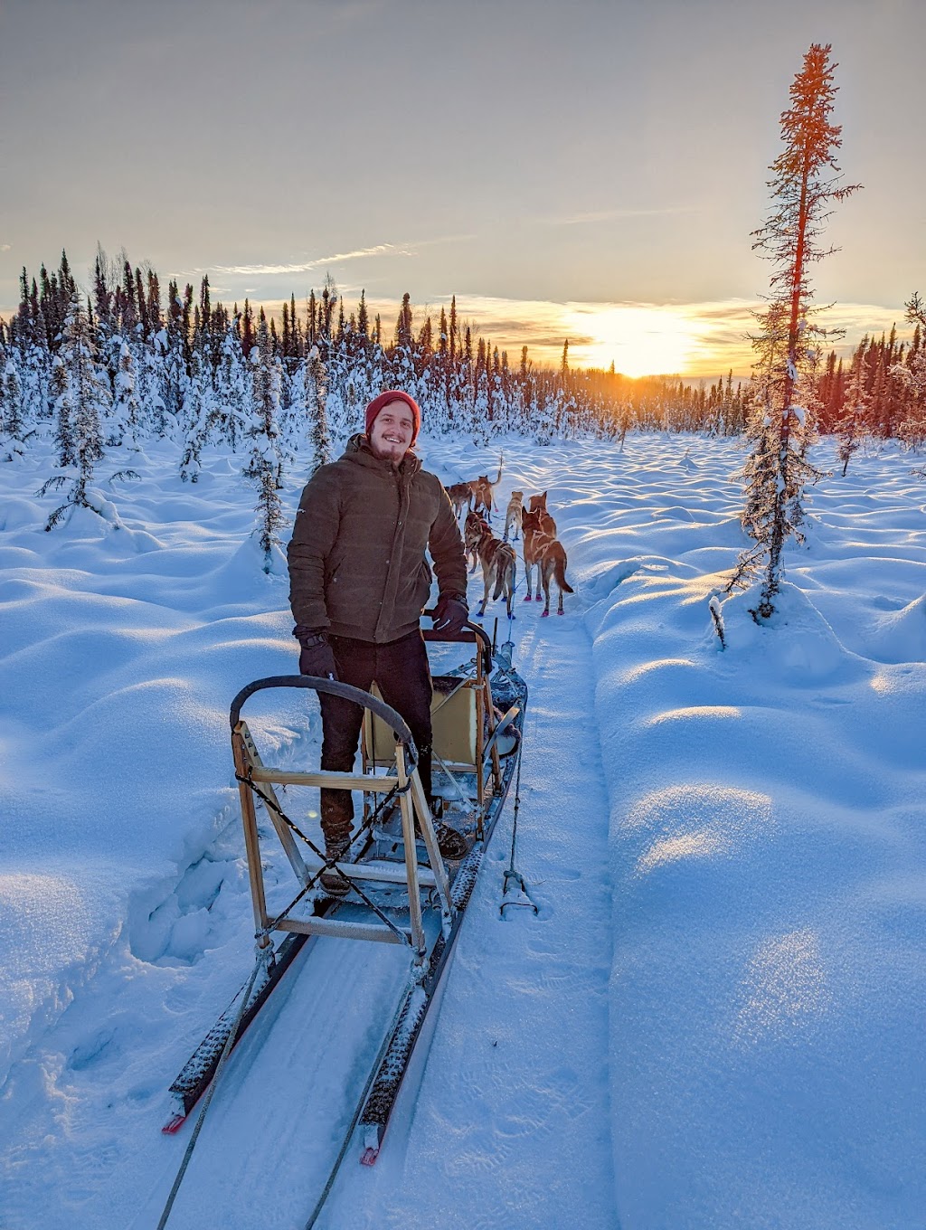 Alaskan Husky Adventures | 18408 W Reynolds Rd, Willow, AK 99688, USA | Phone: (907) 744-8211