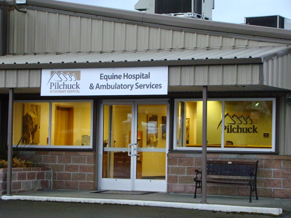 Pilchuck Veterinary Hospital | 11308 92nd St SE, Snohomish, WA 98290, USA | Phone: (360) 568-3113