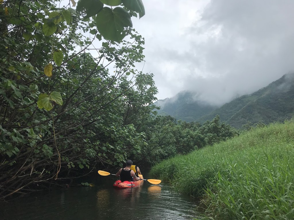 Tims Tours Hawaii | 54-316 Kamehameha Hwy, Hauula, HI 96717 | Phone: (808) 462-0032