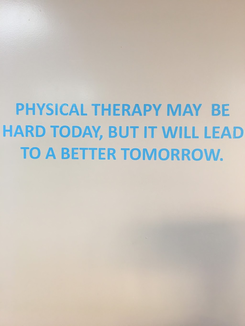 EIM Physical Therapy | 1907 E Wattles Rd, Troy, MI 48085, USA | Phone: (248) 688-9209