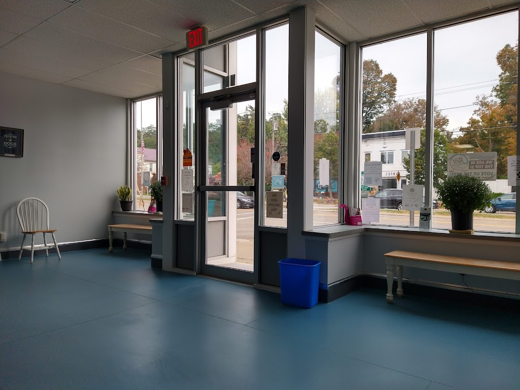 Forestville Animal Hospital | 27 Main St, Forestville, NY 14062, USA | Phone: (716) 965-1021