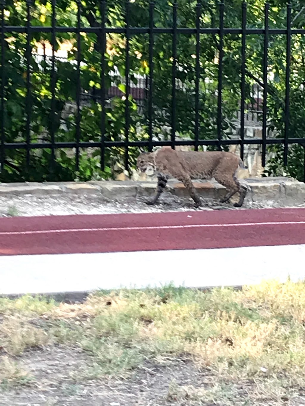 Dr. Kenneth Cooper Park | 5800 Dr Kenneth Cooper Dr, McKinney, TX 75070, USA | Phone: (972) 529-5700