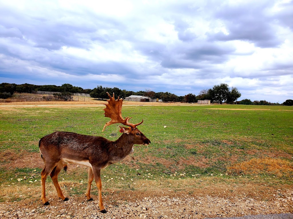 Fossil Rim Wildlife Center | 2299 Co Rd 2008, Glen Rose, TX 76043, USA | Phone: (254) 897-2960