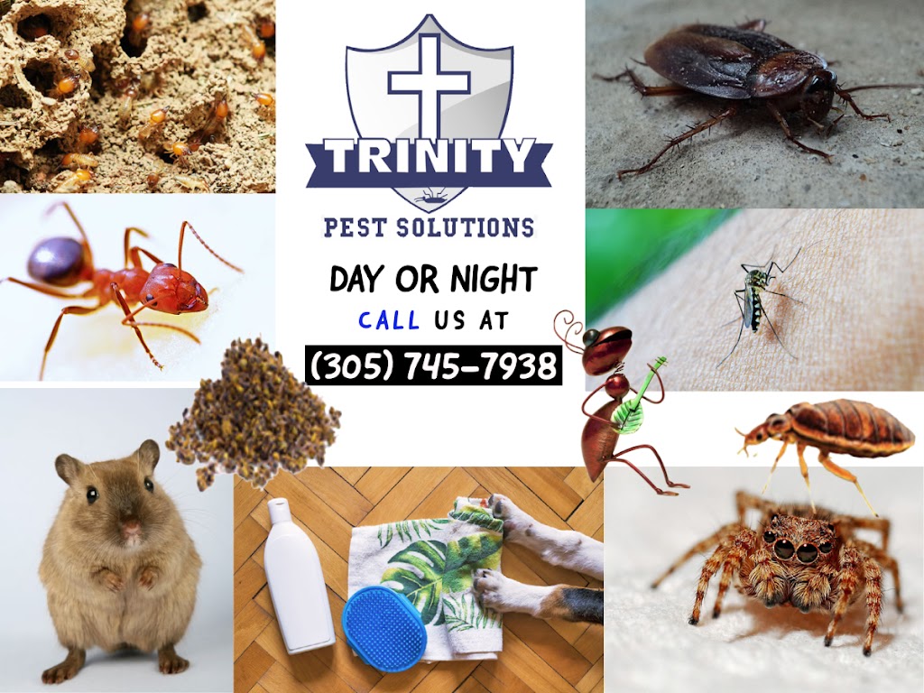 Trinity Pest Solutions | 100 NE 15th St Suite: 101-E, Homestead, FL 33033, USA | Phone: (305) 745-7938