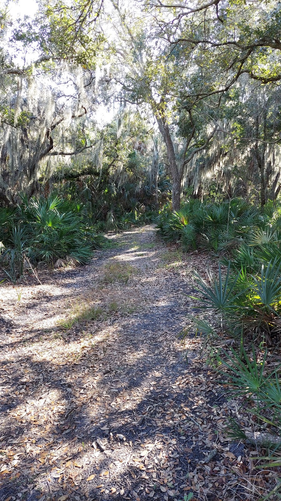 Terra Ceia Preserve State Park | 8054 Bishop Harbor Rd, Palmetto, FL 34221, USA | Phone: (941) 723-4536