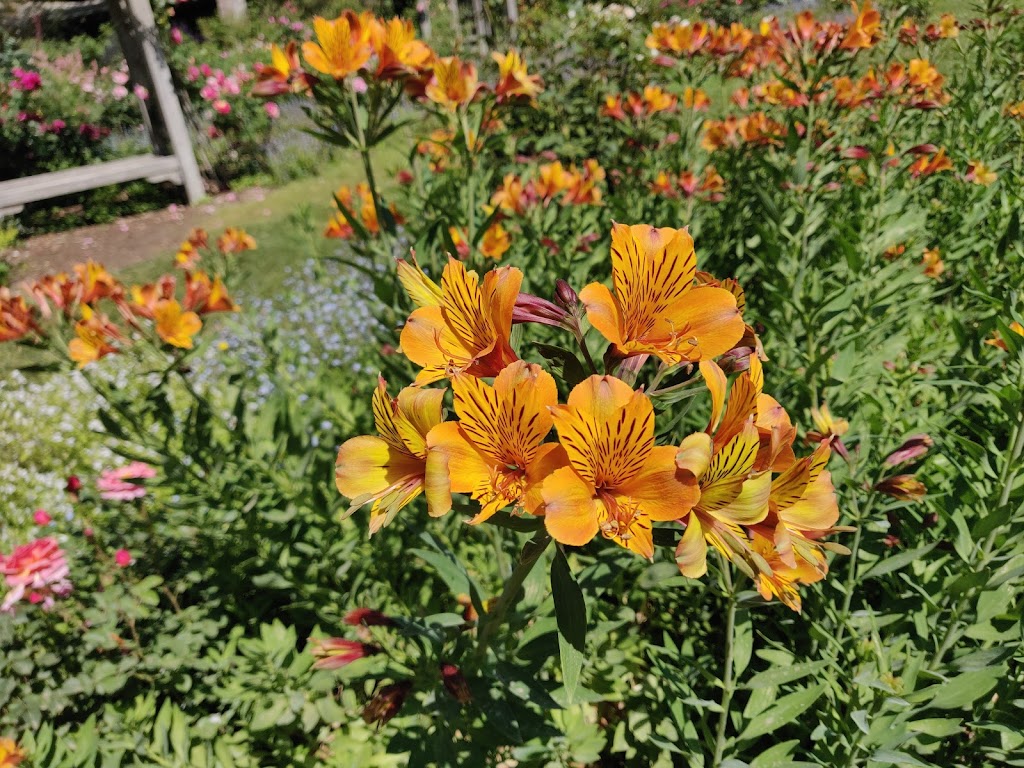 Descanso Gardens Visitor Center | 5813008902, 1418 Descanso Dr, La Cañada Flintridge, CA 91011 | Phone: (818) 949-4200