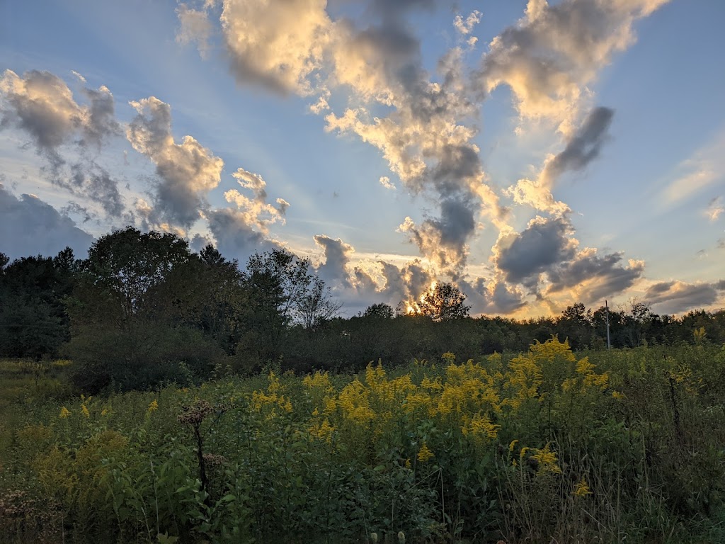 Bath Nature Preserve | 4160 Ira Rd, Akron, OH 44333, USA | Phone: (330) 666-4007