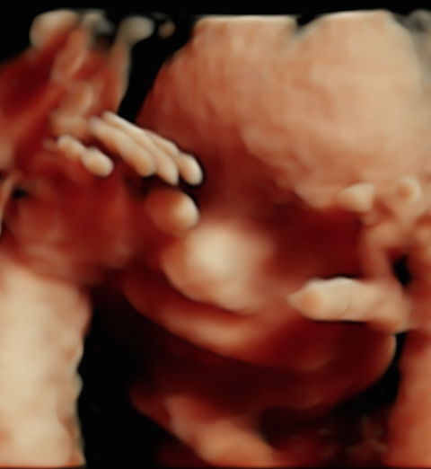 Keepsake Prenatal Imagaing 3D/4D HD Ultrasound Studio | 5656 US-29, Blairs, VA 24527, USA | Phone: (434) 429-1069