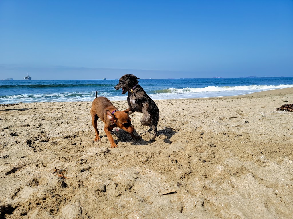 Dog Beach Bluff Top Parking Lot (North Lot) | Huntington Beach, CA 92648 | Phone: (714) 294-6013