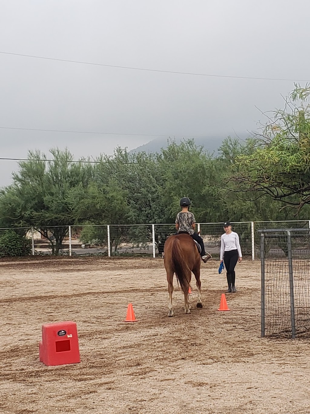 Sonoran Performance Horses | 29620 N 63rd St, Cave Creek, AZ 85331, USA | Phone: (602) 402-3360