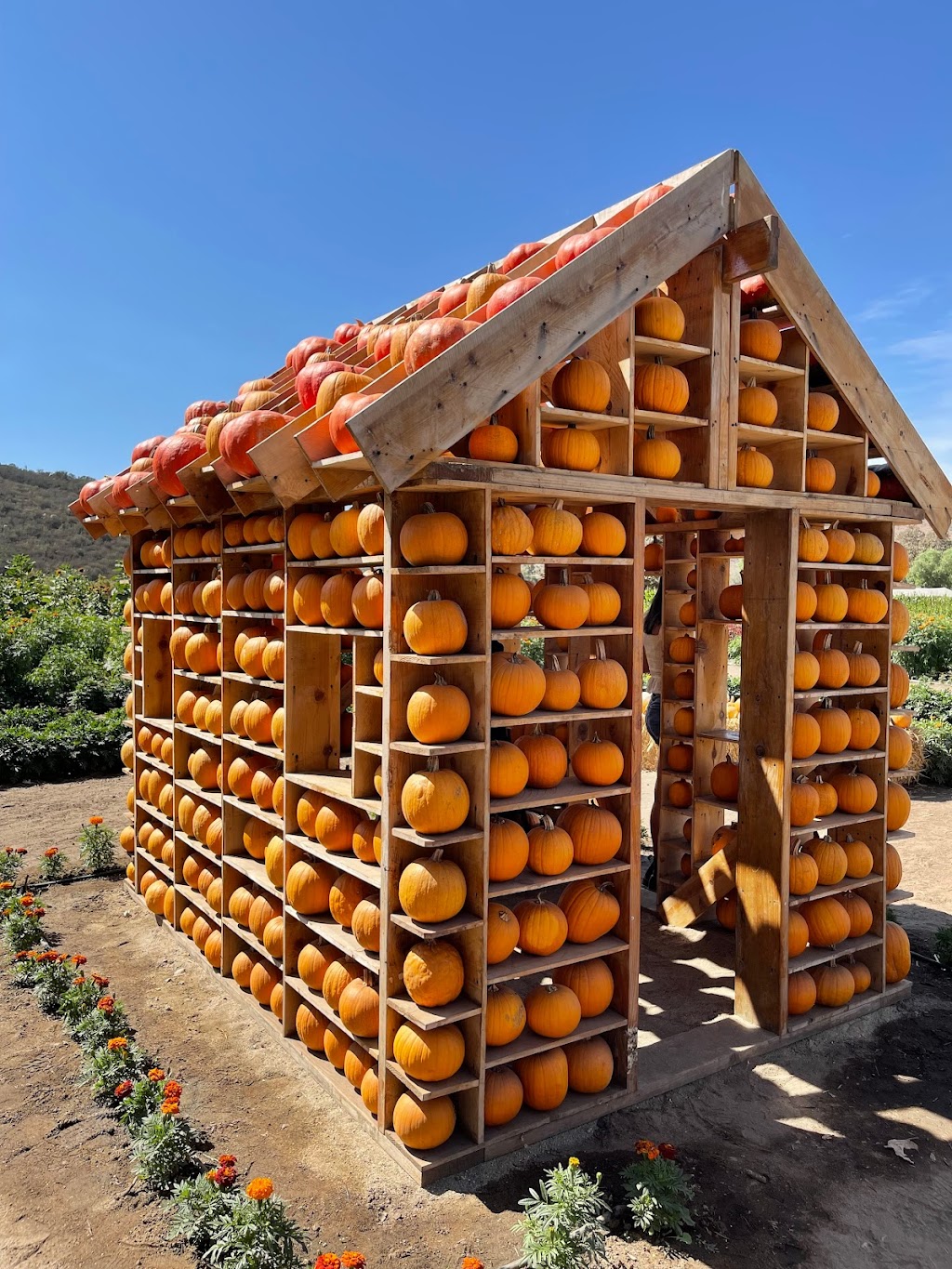 Rancho Hermanos Heredia | km 22 1, Corredor Tijuana - Rosarito 2000, El Laurel, II, 22725 Tijuana, B.C., Mexico | Phone: (619) 918-5311 Rancho Hermanos Heredia | km 22 1, Corredor Tijuana - Rosarito 2000, El Laurel, II, 22725 Tijuana, B.C., Mexico | Phone: (619) 918-5311