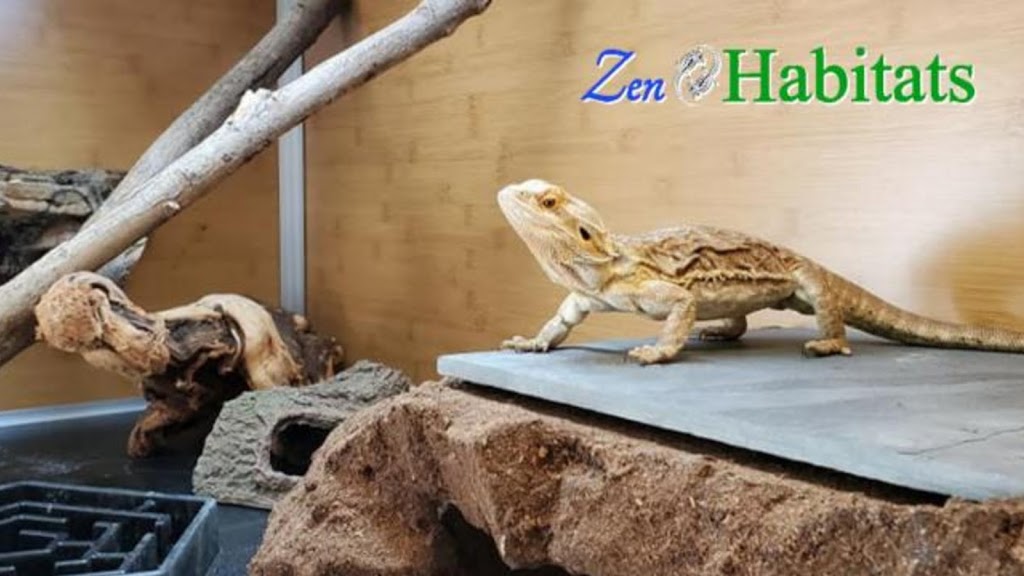 Zen Habitats | 485 Nantasket Ave Suite A, Hull, MA 02045, USA | Phone: (781) 755-8008