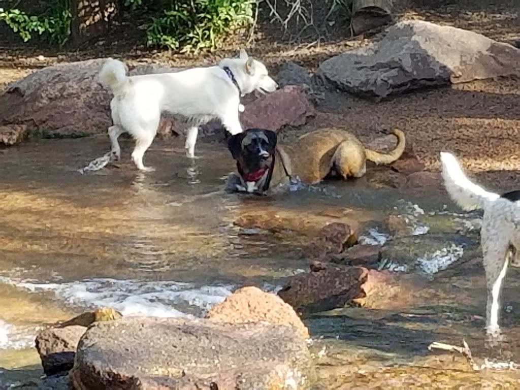 Bear Creek Dog Park Entrance | Colorado Springs, CO 80905, USA | Phone: (719) 385-5940