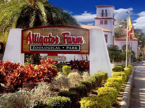 St. Augustine Alligator Farm Zoological Park | 999 Anastasia Blvd, St. Augustine, FL 32080, USA | Phone: (904) 824-3337