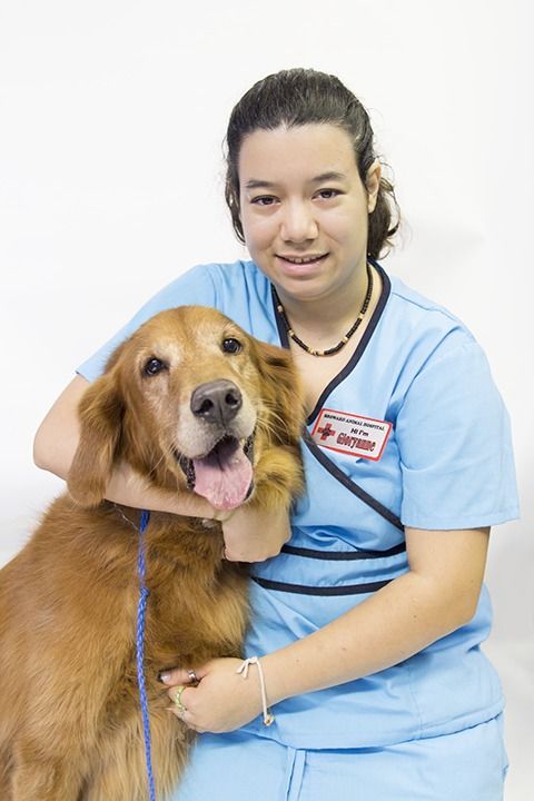 Broward Animal Hospital, Inc. | 1180 N Dixie Hwy, Hollywood, FL 33020, USA | Phone: (954) 925-2467