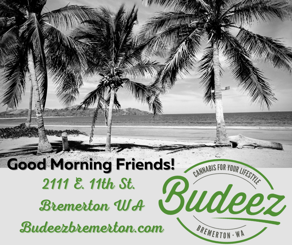 Budeez | 2111 E 11th St, Bremerton, WA 98310, USA | Phone: (360) 627-7674