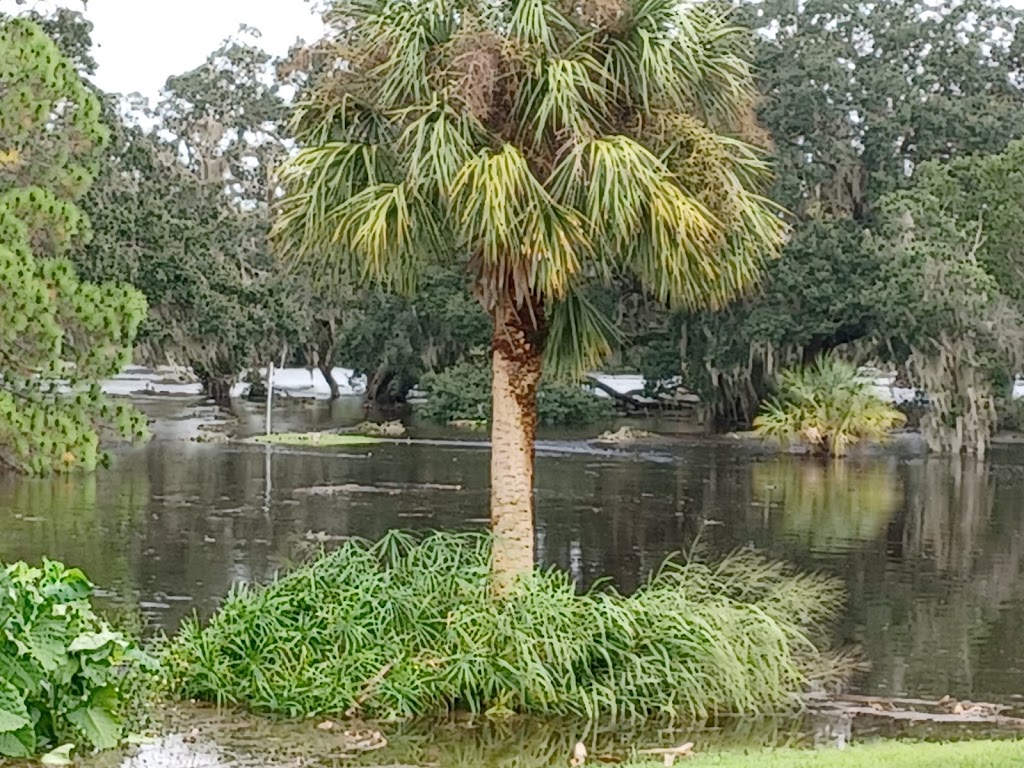 Little Manatee Springs | 4337 Hamlin Way, Wimauma, FL 33598, USA | Phone: (813) 634-2395