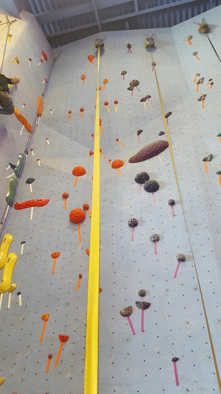 Planet Rock Climbing Gym | 1103 W 13 Mile Rd, Madison Heights, MI 48071, USA | Phone: (248) 397-8354