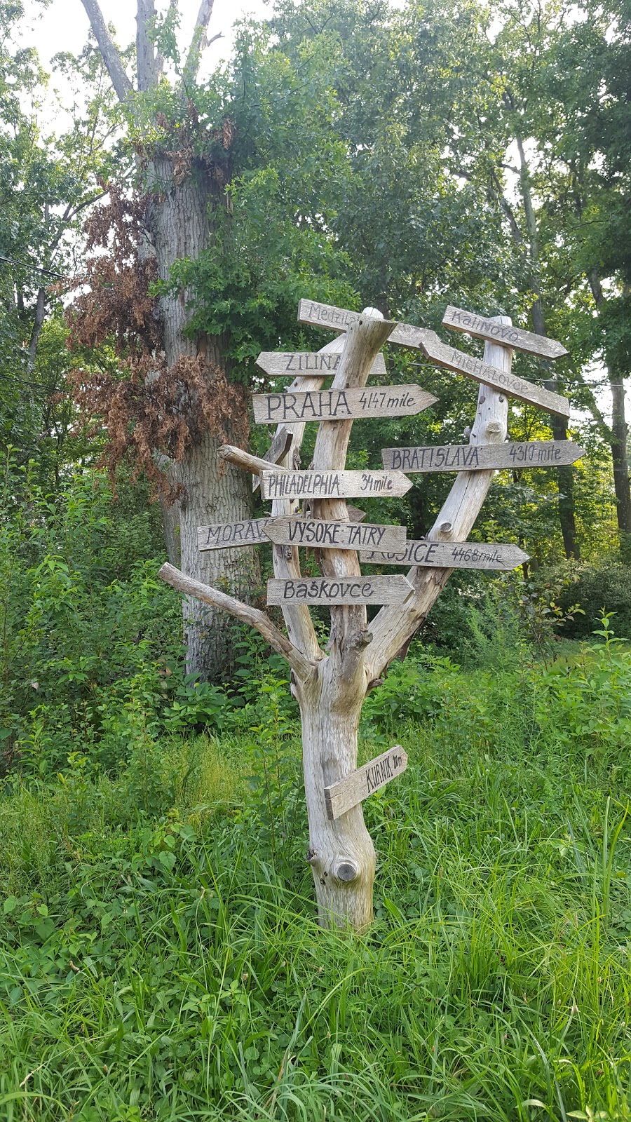 American Czechoslovak Farmers Club | 23 Hankins Rd, East Windsor, NJ 08520, USA | Phone: (609) 448-0782