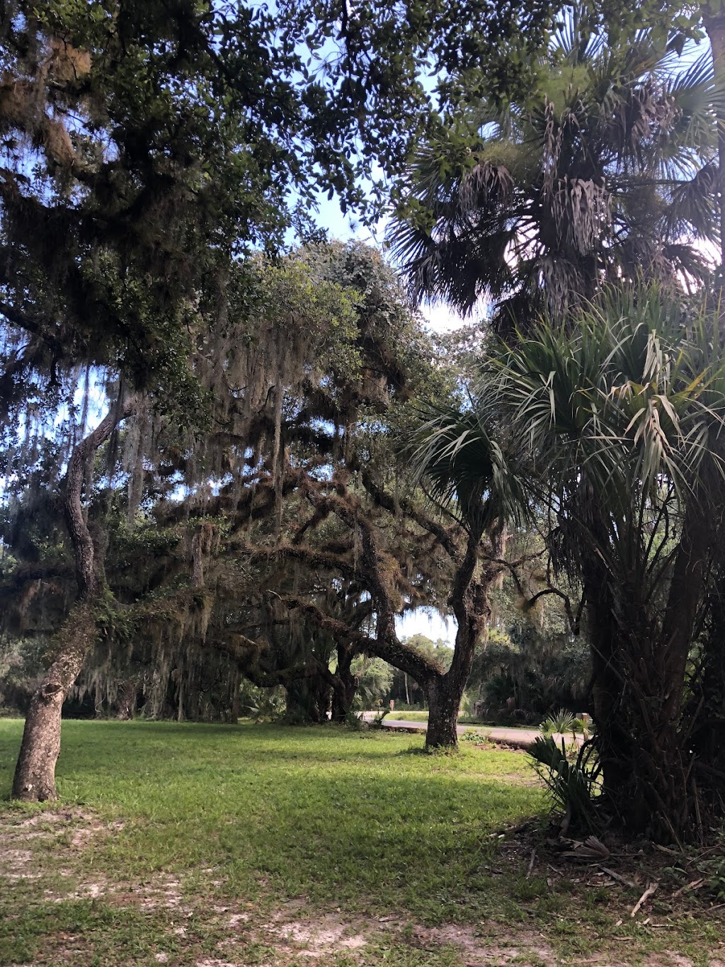 Myakka Canopy Walkway and Observation Tower | Sarasota, FL 34241, USA | Phone: (941) 361-6511