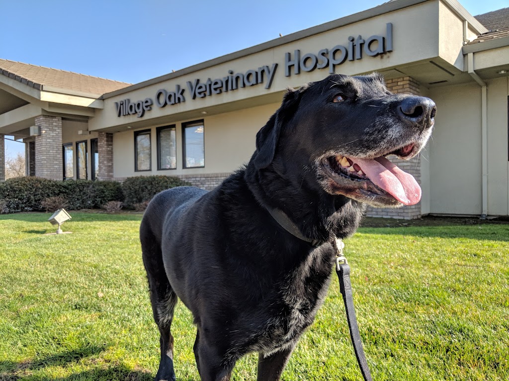 Village Oak Veterinary Hospital | 3924 Oakdale Rd, Modesto, CA 95357, USA | Phone: (209) 551-6200