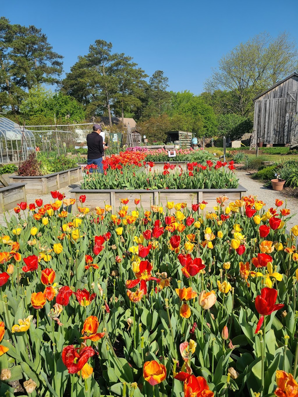 Poquoson Learning Garden | 968 Poquoson Avenue Yorktown, VA 23692, Poquoson, VA 23662, USA | Phone: (757) 890-4940